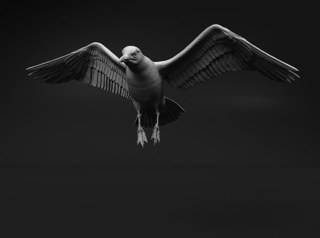 Herring Gull 1:35 Flying 3 in Tan Fine Detail Plastic