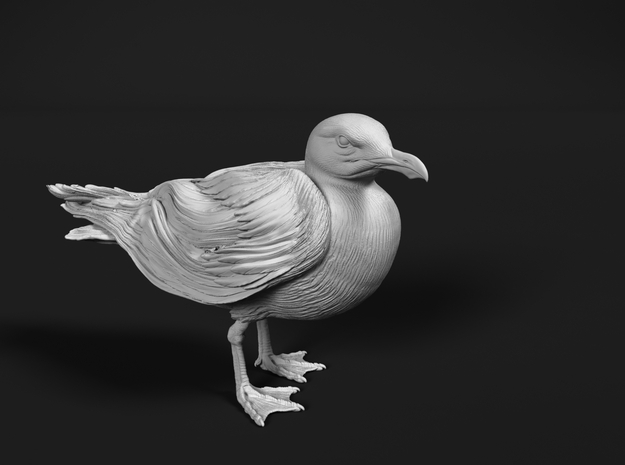 Herring Gull 1:9 Standing 3 in White Natural Versatile Plastic
