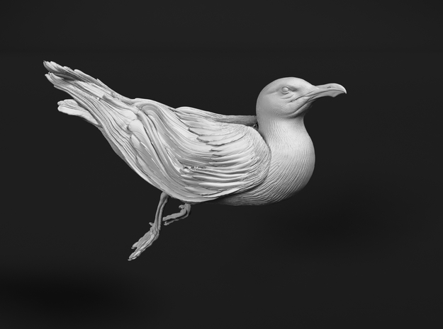 Herring Gull 1:25 Swimming 2 in Tan Fine Detail Plastic
