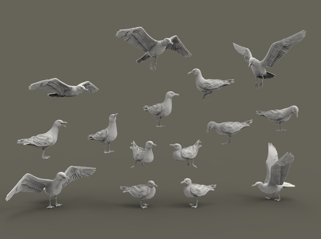 Herring Gull set 1:72 Fifteen different pieces in Tan Fine Detail Plastic