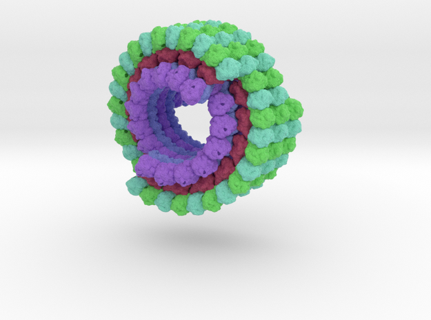 Microtubule 3J2U in Matte High Definition Full Color: Small