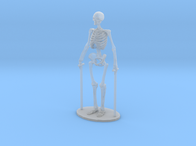 O Scale Skeleton