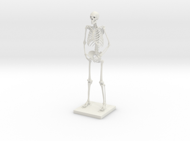 10" Desktop Skeleton in White Natural Versatile Plastic