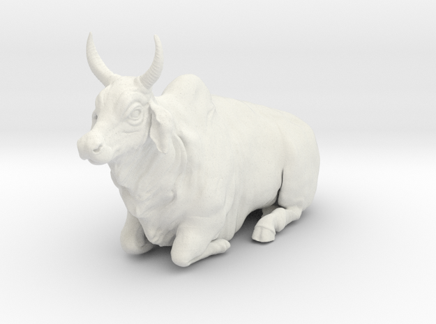 1/64 horned lying brahman bull in White Natural Versatile Plastic
