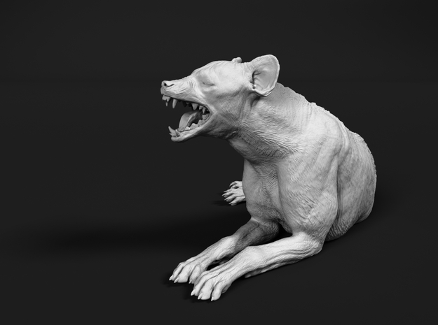 Spotted Hyena 1:24 Lying Male in White Natural Versatile Plastic