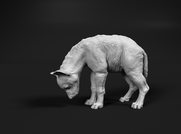 Spotted Hyena 1:9 Cub looking down in White Natural Versatile Plastic