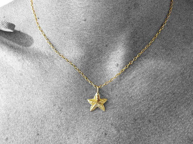 Sea Star Pendant in Polished Brass