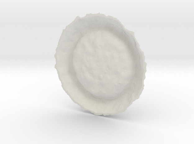 Dinosaur Nest 1/40 in White Natural Versatile Plastic