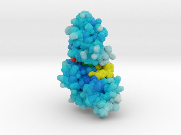 DYRK2 Curcumin Complex (bFactor + a-Loop)  in Natural Full Color Nylon 12 (MJF): Extra Small