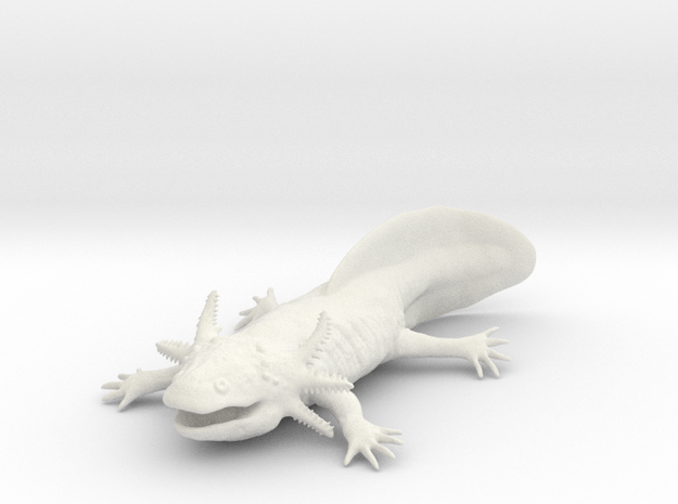 Axolotl high detail in White Natural Versatile Plastic