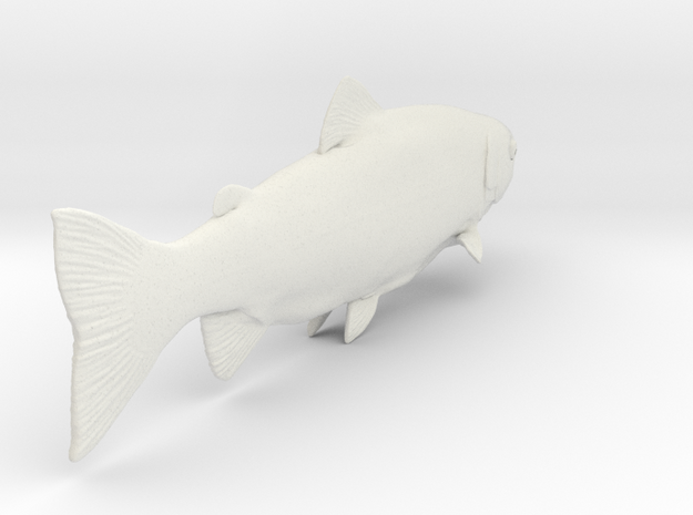 trout1 in White Natural Versatile Plastic