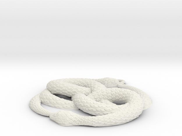 3D-Printed AURYN Medallion in White Natural Versatile Plastic