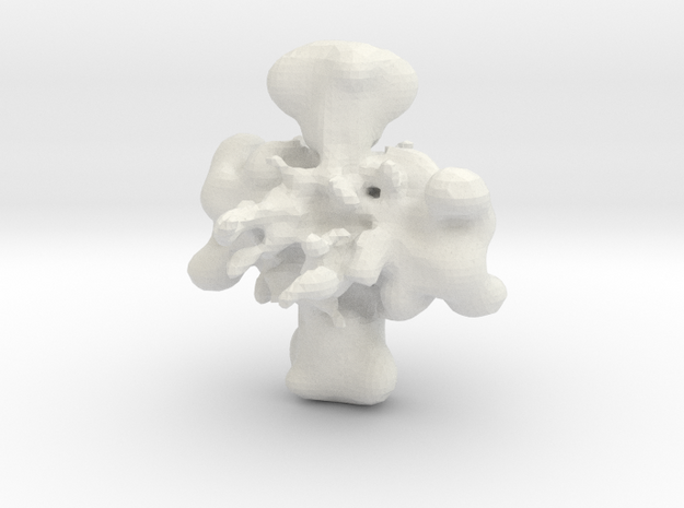 Multstar Blob in White Natural Versatile Plastic