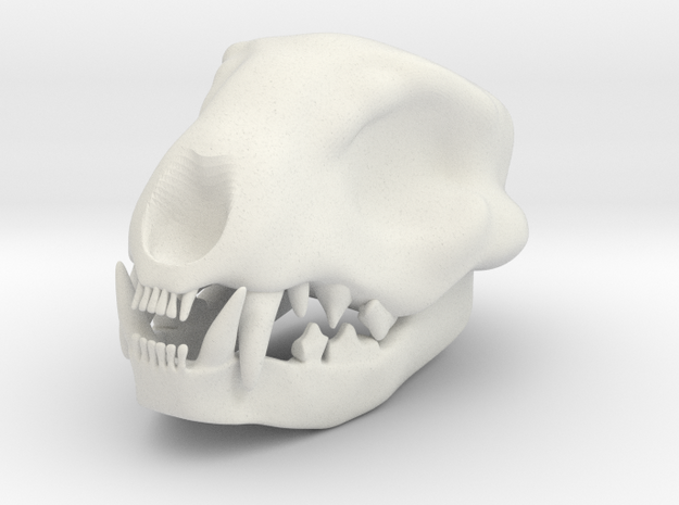 Cat Skull 2 Inch in White Natural Versatile Plastic