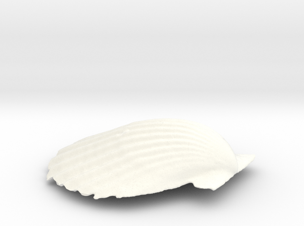 Scallop Shell in White Processed Versatile Plastic