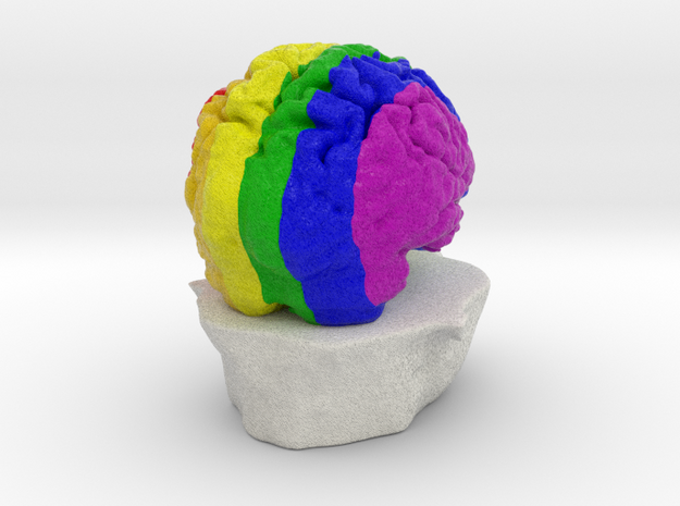 Rainbow Brain in Full Color Sandstone