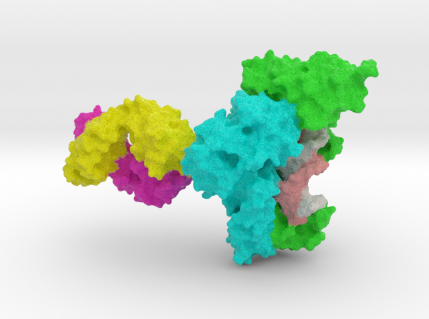 HIV-1 RTranscriptase in Full Color Sandstone