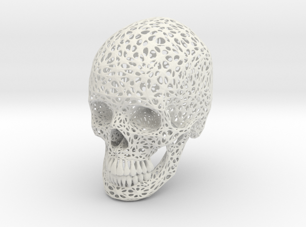 Lace Skull, Full Size in White Natural Versatile Plastic