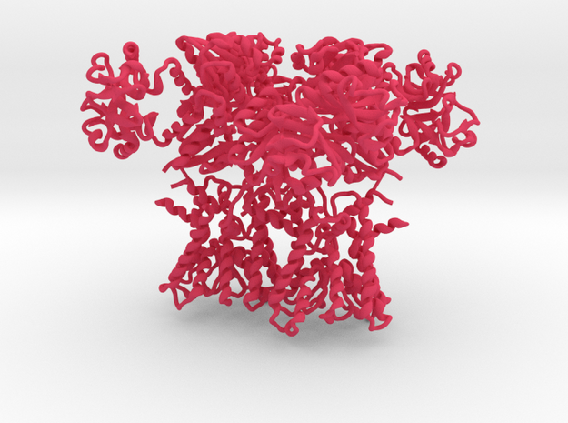 KtrAB potassium transporter (PDB: 4J7C) in Pink Processed Versatile Plastic
