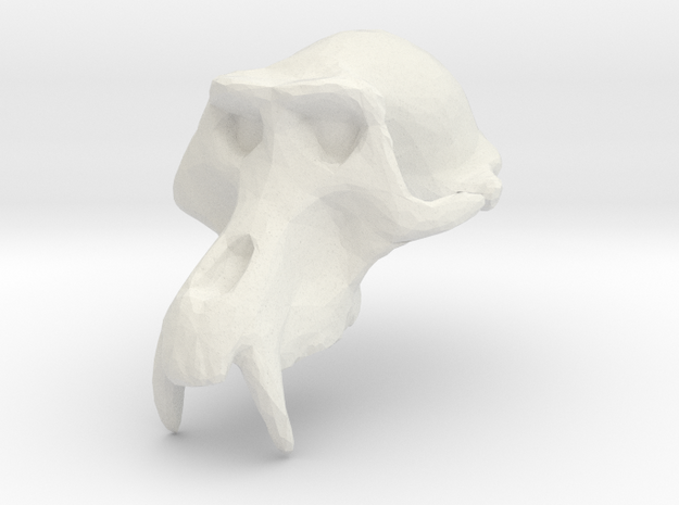 Monkey Skull - Trial 1  in White Natural Versatile Plastic