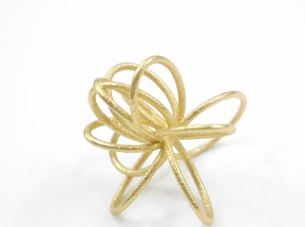 Flora Ring B (Size 9) in Polished Gold Steel