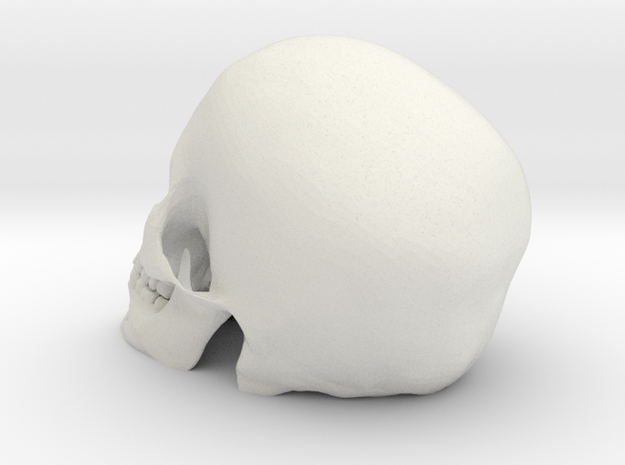 Skull  in White Natural Versatile Plastic