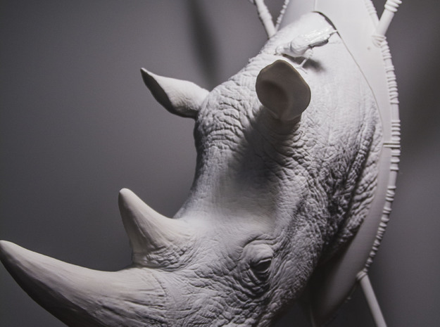 Part 1 of 3 White Rhino (Headpiece) in White Natural Versatile Plastic: d00