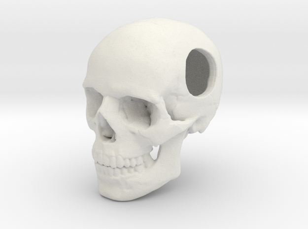 18mm .7in Bead Human Skull Crane Schädel че́реп in White Natural Versatile Plastic