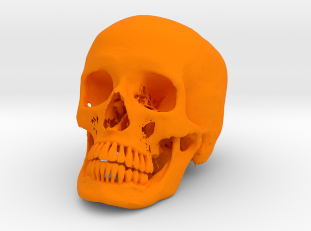 Jack-o'-lantern skull from CT scan, half size in Orange Processed Versatile Plastic