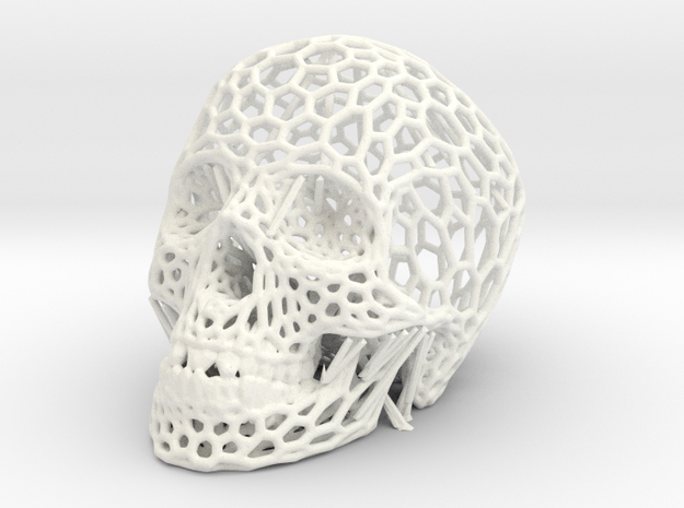 Skull in White Processed Versatile Plastic