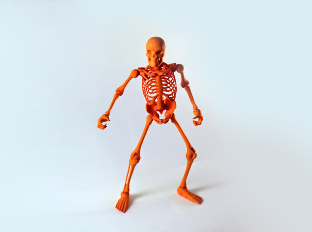 Articulated Skeleton 