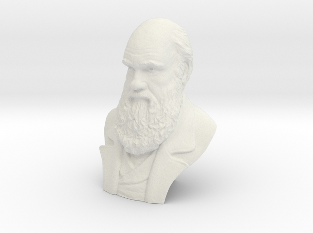Charles Darwin 12" Bust in White Natural Versatile Plastic