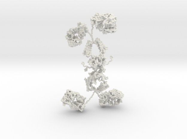 Antibody - IgA1 - dimer in White Natural Versatile Plastic