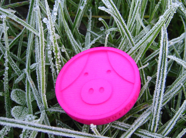 Pigcoin Plastic in Pink Processed Versatile Plastic