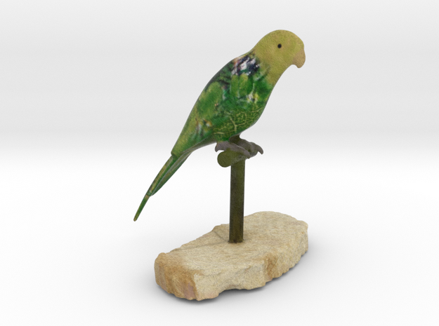 Bird Beauty Lorikeet Full Color by Space 3D  in Full Color Sandstone