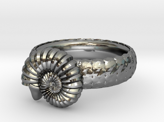 Ammonoidea ring(USA 5.5,Japan 10, Britain K) in Fine Detail Polished Silver
