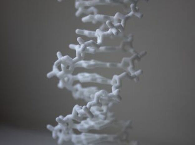 DNA double helix (with stand) in White Natural Versatile Plastic