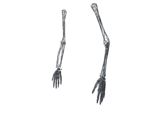Life Size Poly Arms and Hands - Skeleton in White Natural Versatile Plastic