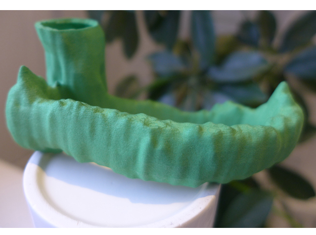 Plant Stomata in Green Processed Versatile Plastic