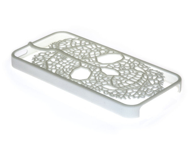 Leaf Skeleton iPhone 5 / 5s Case in White Natural Versatile Plastic