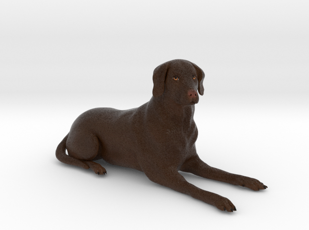 Custom Dog Figurine - Titus in Full Color Sandstone
