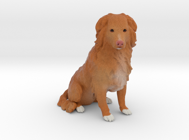 Custom Dog Figurine - Jasper in Full Color Sandstone