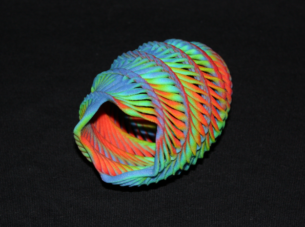 Mathematical Mollusca - Medium Rainbow Conch