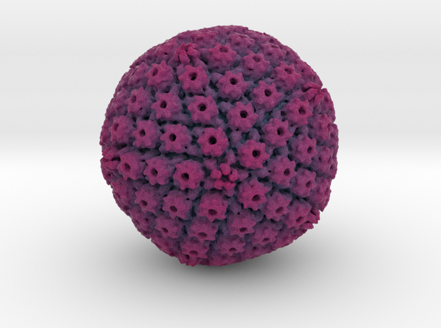 Herpes Simplex Virus capsid, radial colour 1Mx mag in Full Color Sandstone