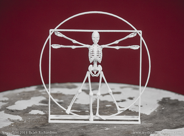 Vitruvian Man Skeleton in White Natural Versatile Plastic