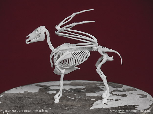 Pegasus Skeleton in White Natural Versatile Plastic