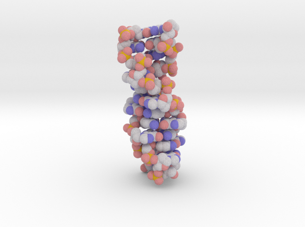 Z-DNA in Full Color Sandstone