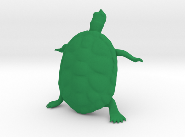 The Wondering Turtle in Green Processed Versatile Plastic