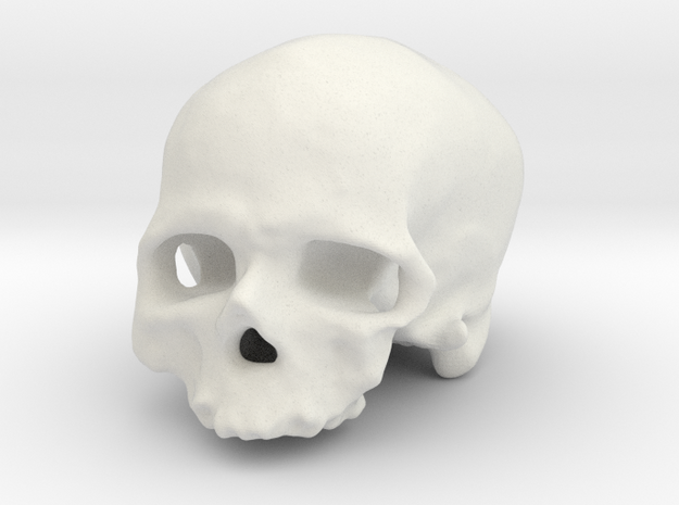 Old man of Crô-Magnon (cranium, real size) in White Natural Versatile Plastic