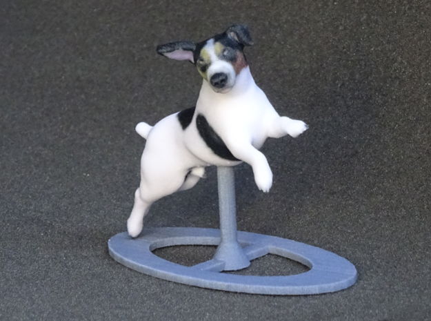 Jumping Up Jack Russell Terrier 2 in Full Color Sandstone